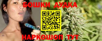 индика Можайск
