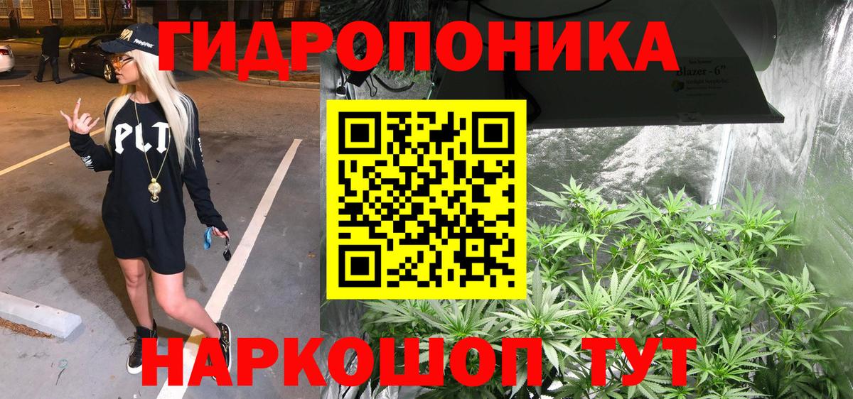 Конопля план  Канабис конопля  Реж  Конопля SATIVA & INDICA  Вход с VPN 